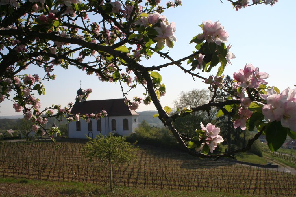 Villa Mandelbluete Gleiszellen-Gleishorbach Quarto foto