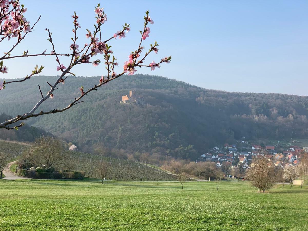 Villa Mandelbluete Gleiszellen-Gleishorbach Exterior foto